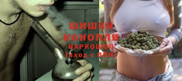 гидропоника Дмитриев