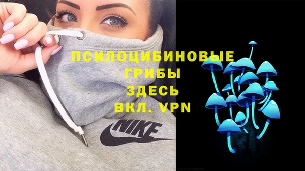 гидропоника Дмитриев