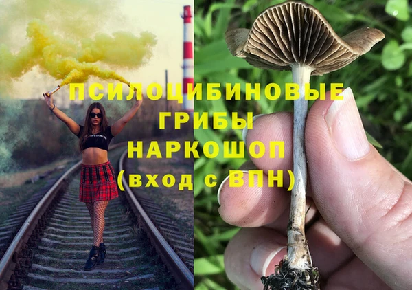 винт Дмитровск