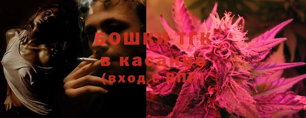 гидропоника Дмитриев