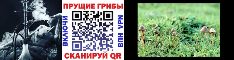 Галлюциногенные грибы Magic Shrooms  Елизово 