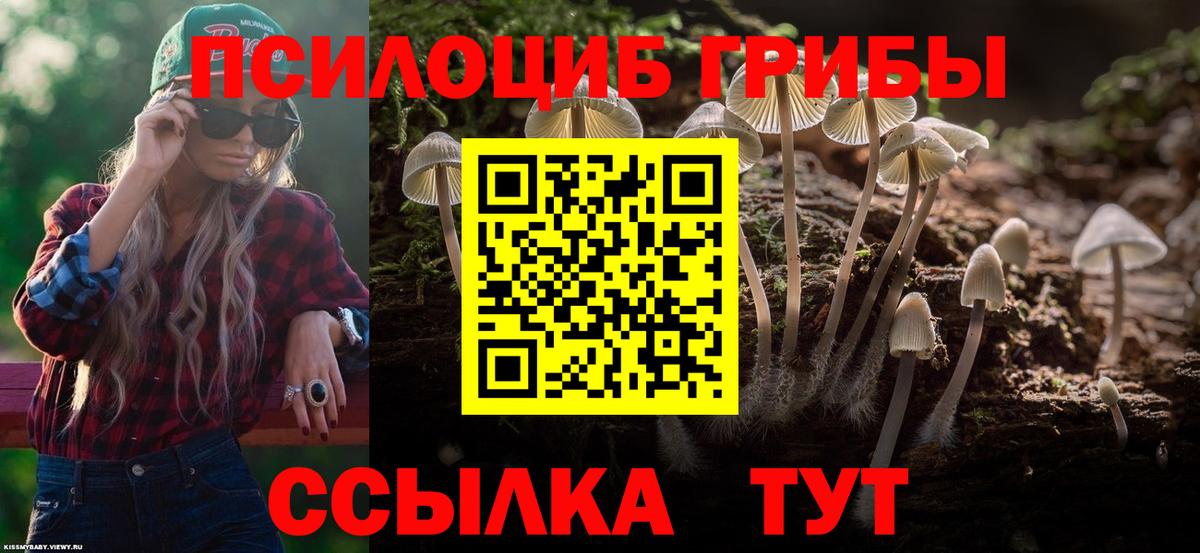 Галлюциногенные грибы прущие грибы  Псилоцибиновые грибы MAGIC MUSHROOMS  Елизово  Вход с VPN 